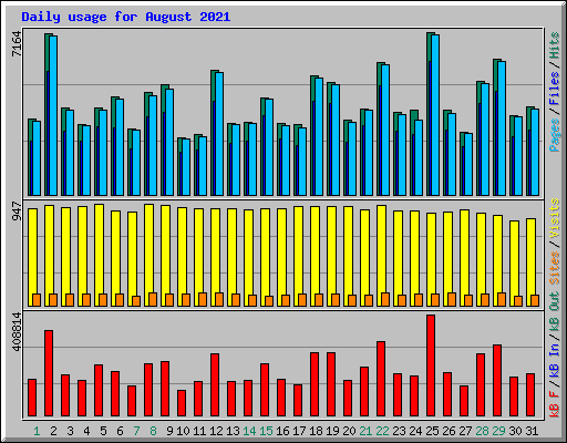 Daily usage for August 2021