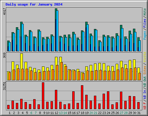 Daily usage for January 2024