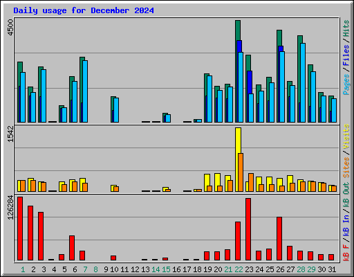 Daily usage for December 2024
