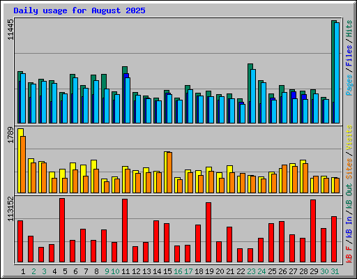 Daily usage for August 2025