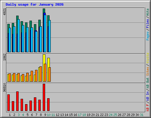 Daily usage for January 2026