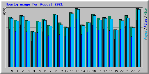 Hourly usage for August 2021