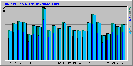 Hourly usage for November 2021