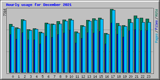 Hourly usage for December 2021