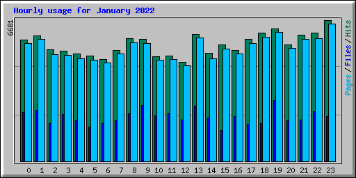 Hourly usage for January 2022