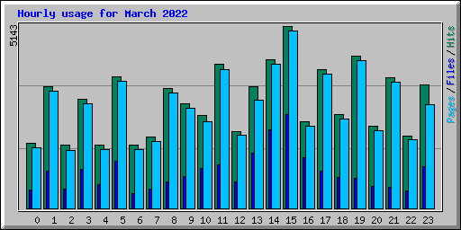 Hourly usage for March 2022