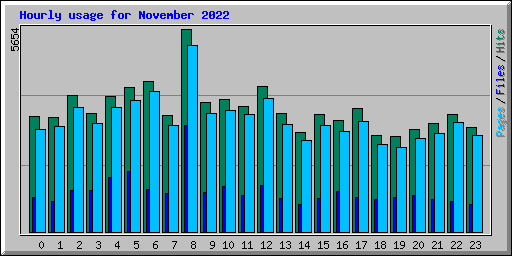 Hourly usage for November 2022