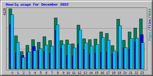 Hourly usage for December 2022