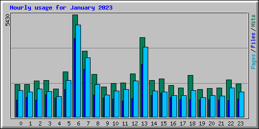 Hourly usage for January 2023