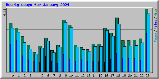 Hourly usage for January 2024