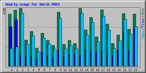 Hourly usage for March 2024