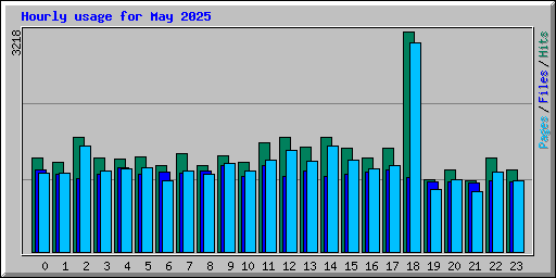 Hourly usage for May 2025