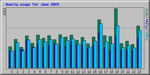 Hourly usage for June 2025