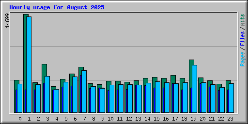 Hourly usage for August 2025