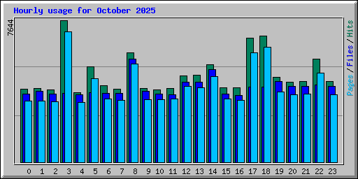 Hourly usage for October 2025