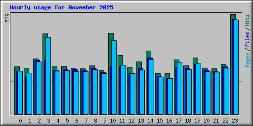 Hourly usage for November 2025