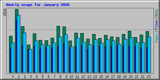 Hourly usage for January 2026