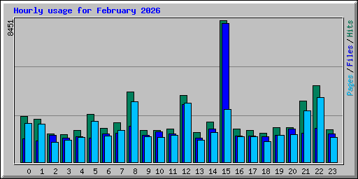 Hourly usage for February 2026