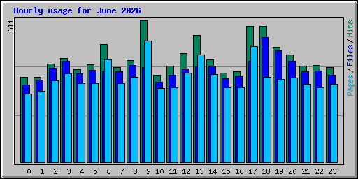 Hourly usage for June 2026