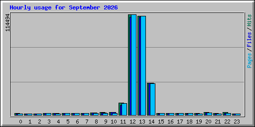 Hourly usage for September 2026